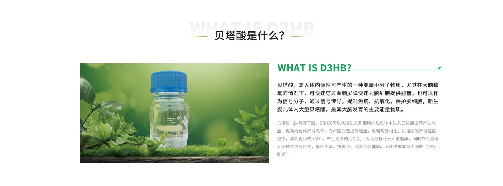 官网首页-贝塔酸_04.jpg